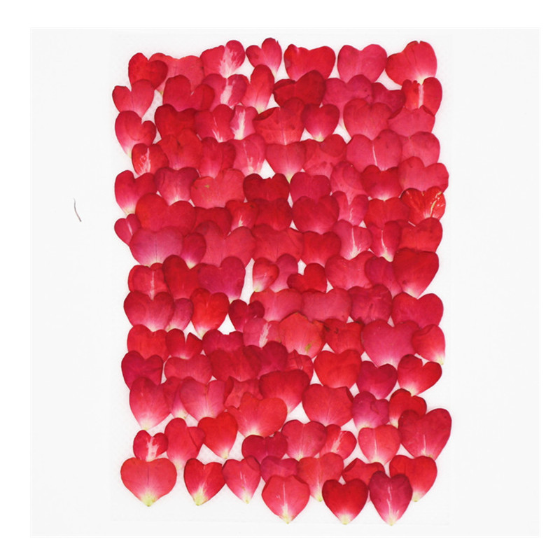 Resin Art Rose Petals - 120Pcs Rose Petals Mixed Pack, Dried