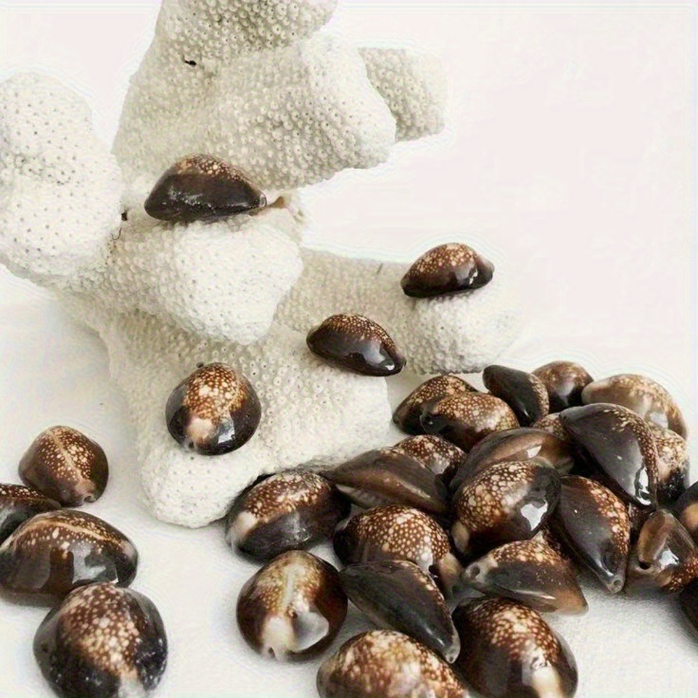 10Pcs Natural Brown Cowrie She - огляд і ціна Resin Art Beach