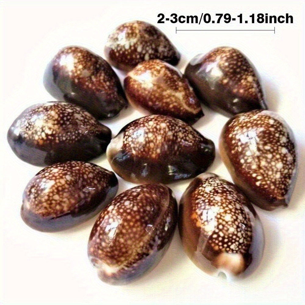 10Pcs Natural Brown Cowrie She - огляд і ціна Resin Art Beach