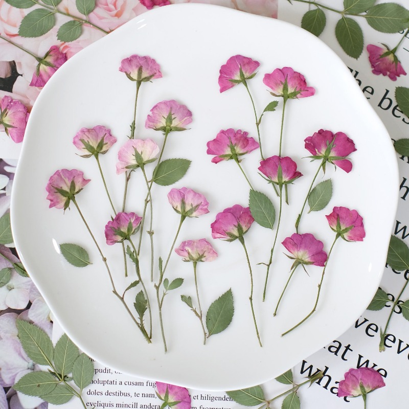 12pcs,Real Mini Rose Pressed F - огляд і ціна Resin Art Rose Petals