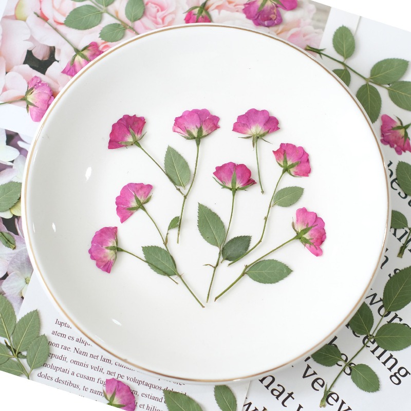 12pcs,Real Mini Rose Pressed F - огляд і ціна Resin Art Rose Petals