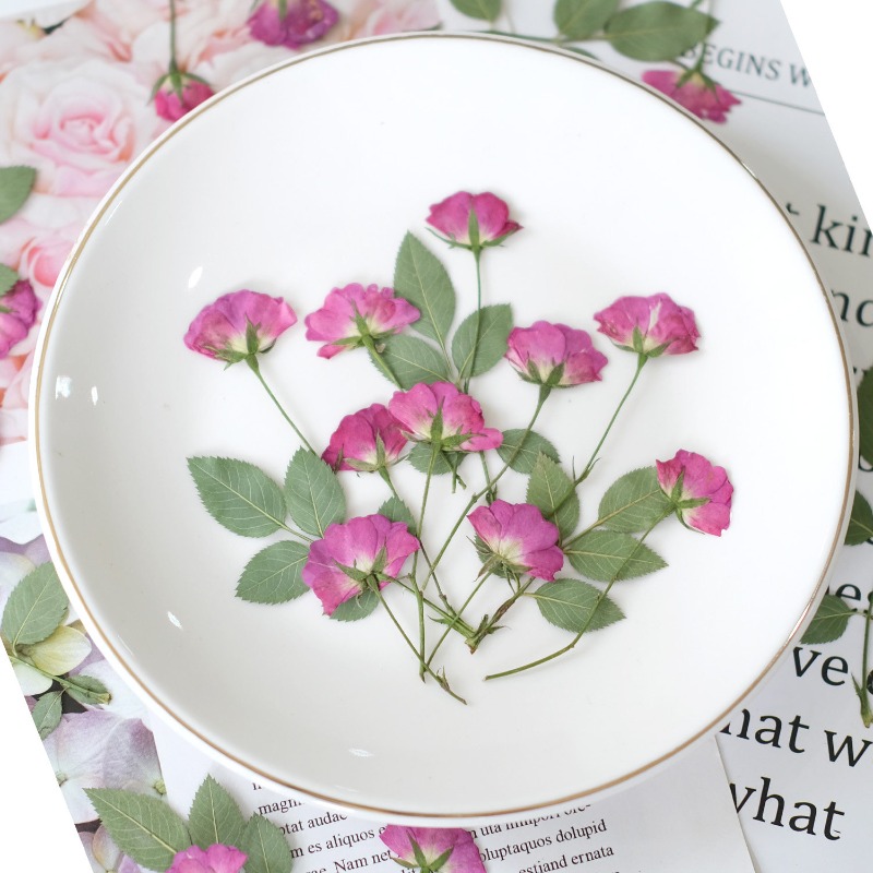12pcs,Real Mini Rose Pressed F - огляд і ціна Resin Art Rose Petals