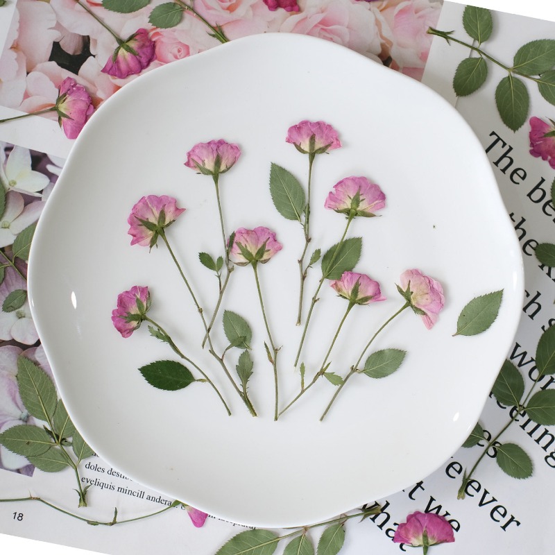 12pcs,Real Mini Rose Pressed F - огляд і ціна Resin Art Rose Petals