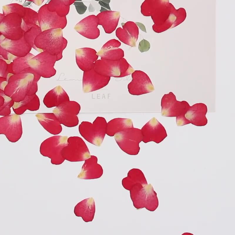 120Pcs Rose Petals Mixed Pack, - огляд і ціна Resin Art Rose Petals