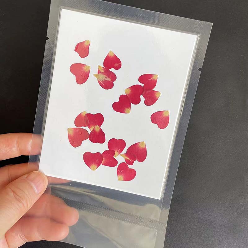 40PC/0.5~1.2CM Real Natural Dr - огляд і ціна Resin Art Rose Petals