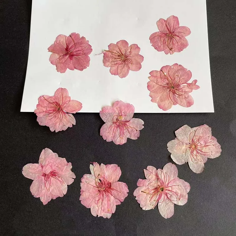 3-4.5CM/24PC Real Natural Drie - огляд і ціна Resin Art Rose Petals