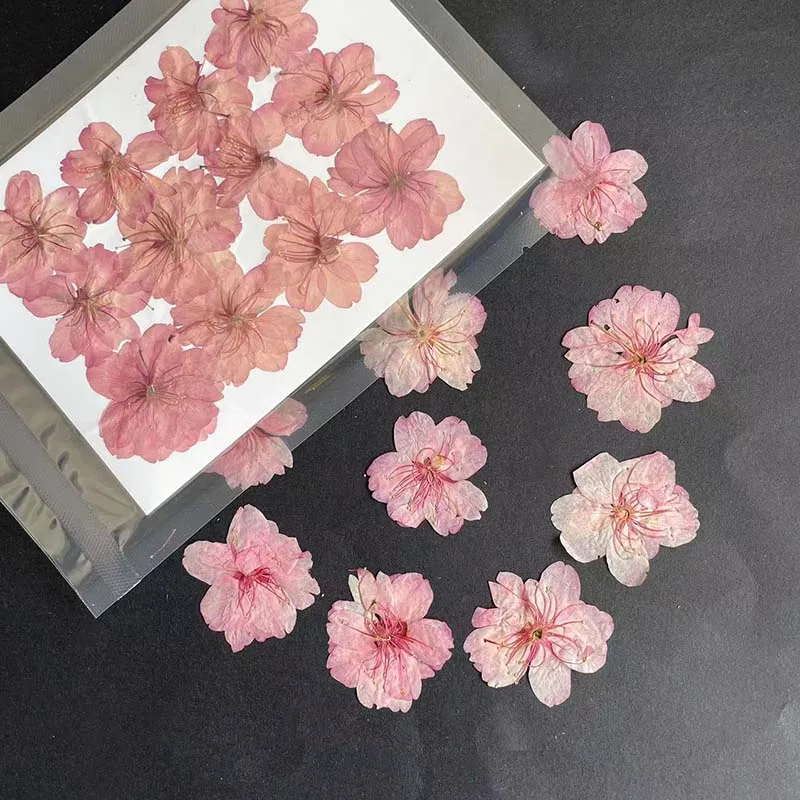 3-4.5CM/24PC Real Natural Drie - огляд і ціна Resin Art Rose Petals