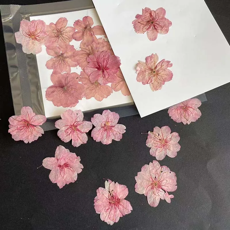 3-4.5CM/24PC Real Natural Drie - огляд і ціна Resin Art Rose Petals