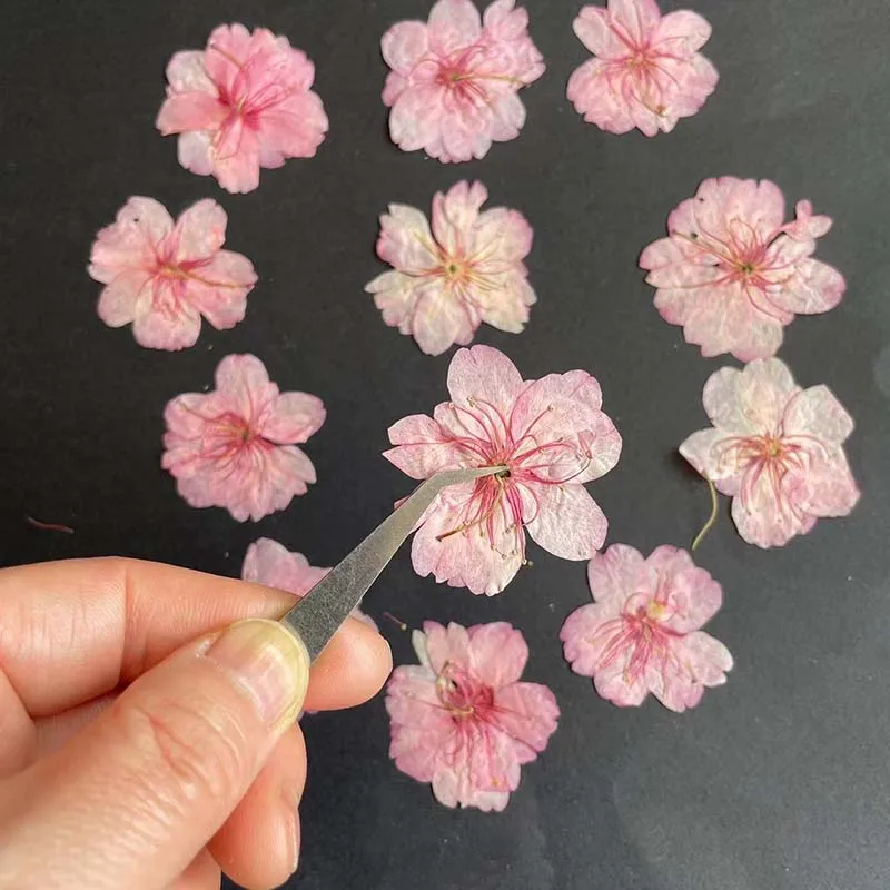 3-4.5CM/24PC Real Natural Drie - огляд і ціна Resin Art Rose Petals