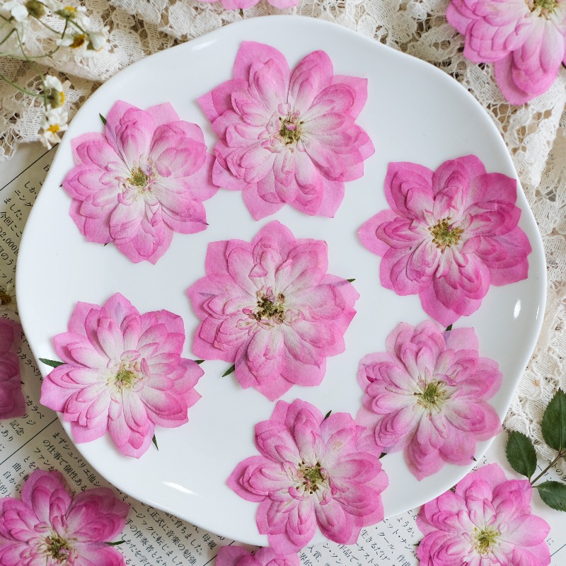 6pcs,Natural Rose Lotus Presse - огляд і ціна Resin Art Rose Petals